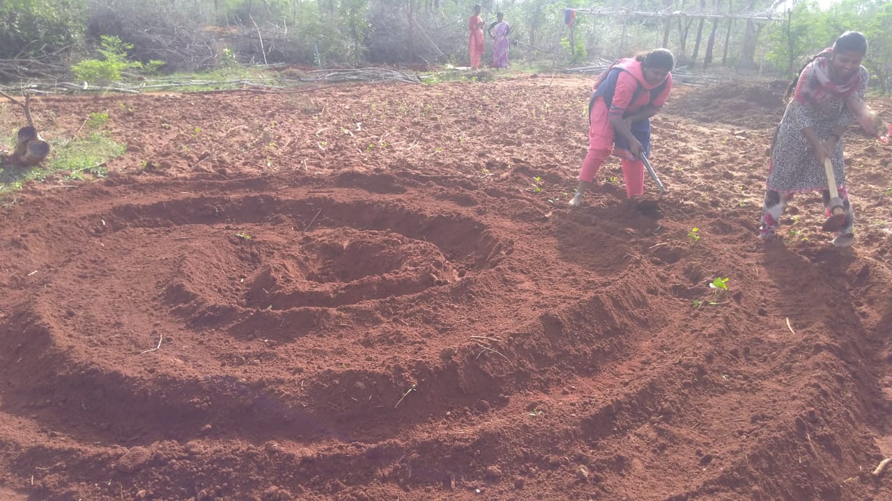 IMG-20190902-WA0041.jpg